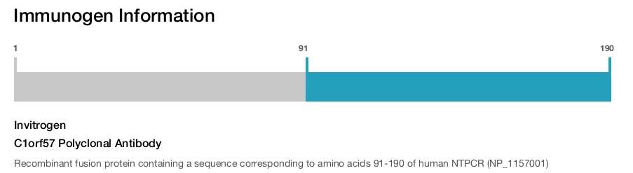 C1orf57 Polyclonal Antibody