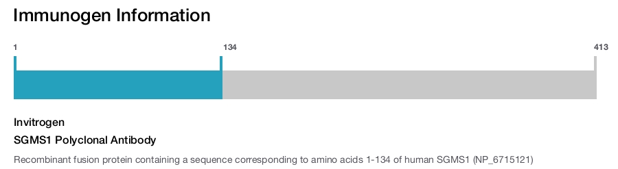 SGMS1 Polyclonal Antibody