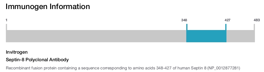 Septin-8 Polyclonal Antibody