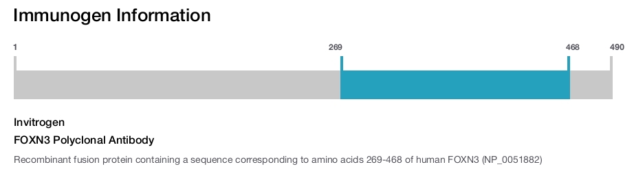 FOXN3 Polyclonal Antibody