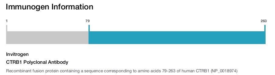 CTRB1 Polyclonal Antibody