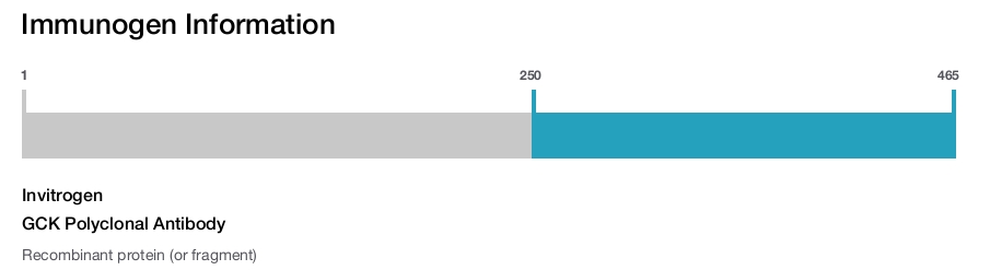 GCK Polyclonal Antibody