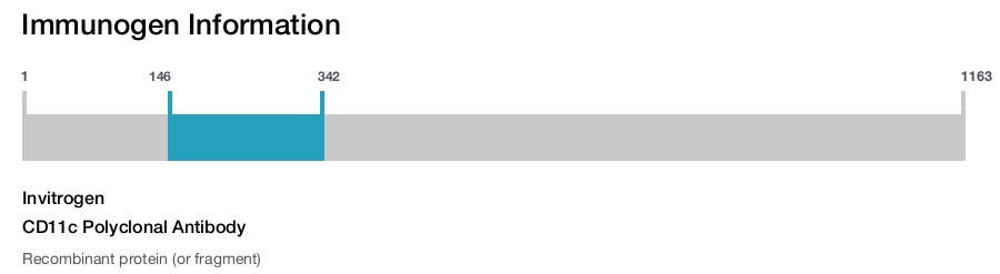 CD11c Polyclonal Antibody