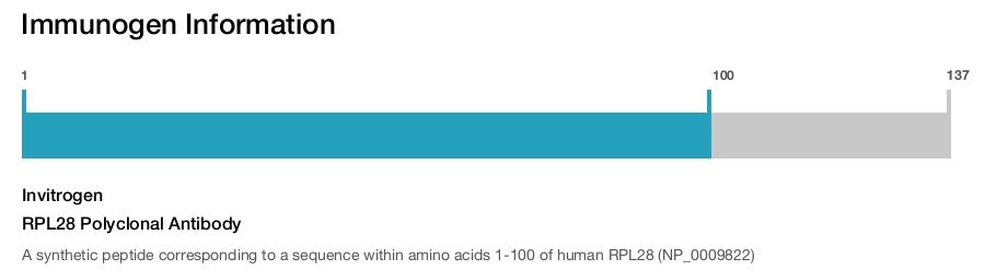 RPL28 Polyclonal Antibody