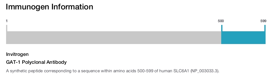 GAT-1 Polyclonal Antibody