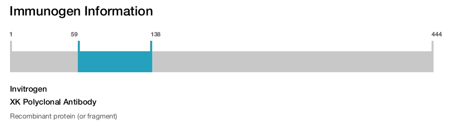 XK Polyclonal Antibody