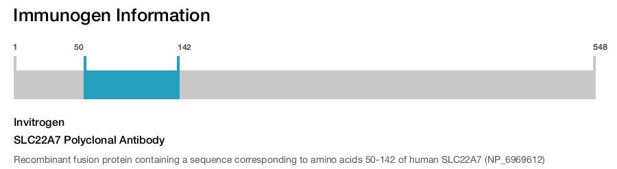 SLC22A7 Polyclonal Antibody