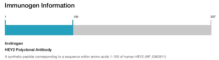 HEY2 Polyclonal Antibody