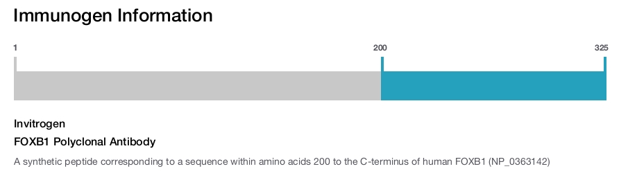 FOXB1 Polyclonal Antibody