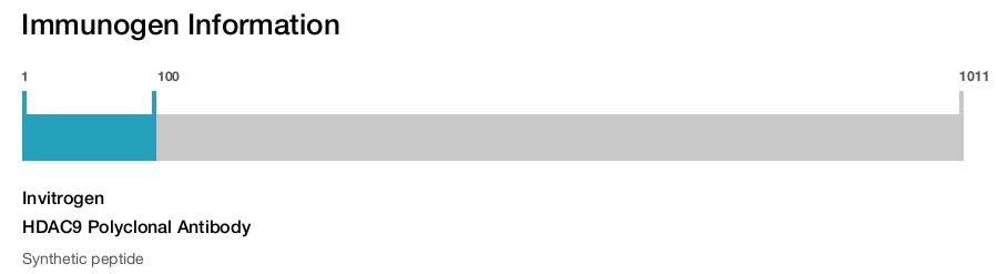 HDAC9 Polyclonal Antibody