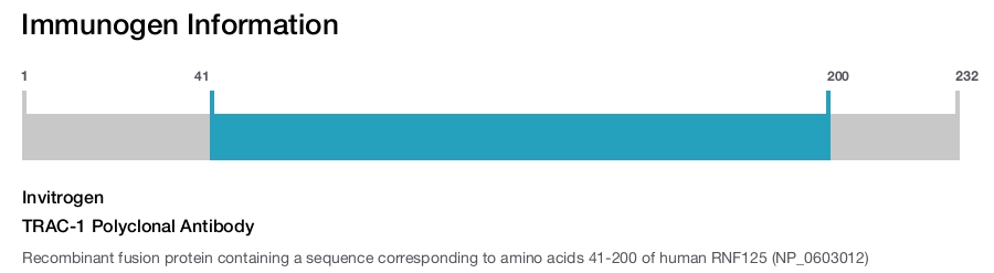 TRAC-1 Polyclonal Antibody