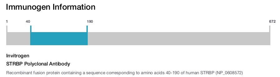 STRBP Polyclonal Antibody