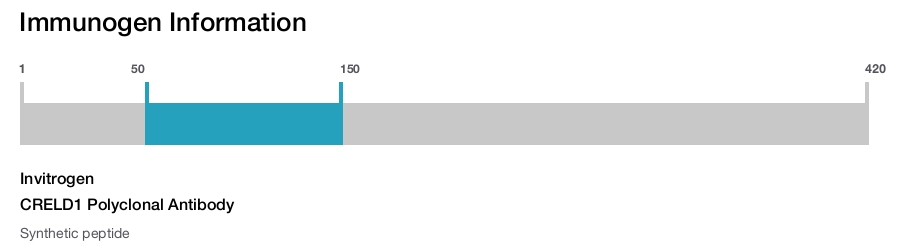 CRELD1 Polyclonal Antibody
