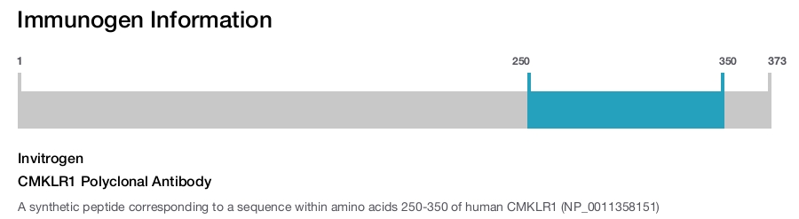 CMKLR1 Polyclonal Antibody