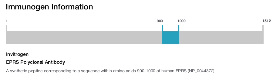 EPRS Polyclonal Antibody