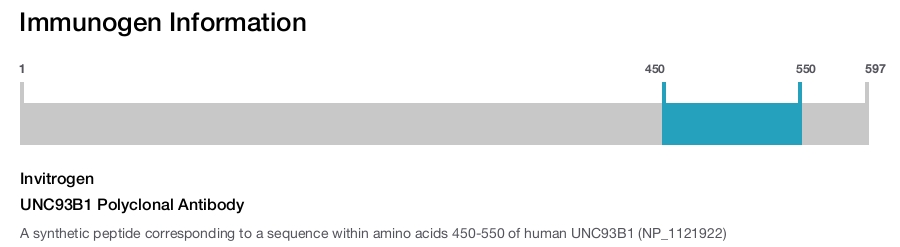 UNC93B1 Polyclonal Antibody