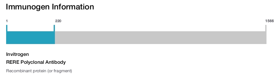 RERE Polyclonal Antibody