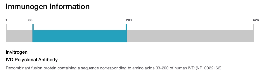 IVD Polyclonal Antibody
