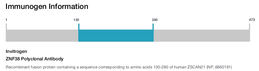 ZNF38 Polyclonal Antibody