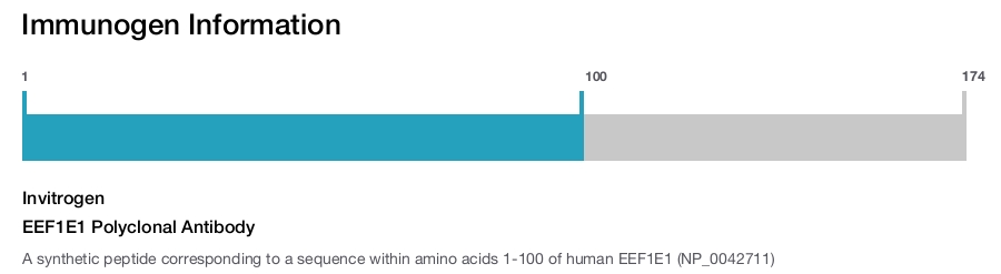 EEF1E1 Polyclonal Antibody