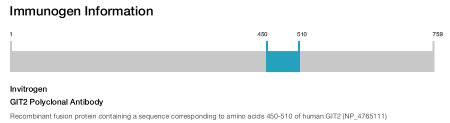 GIT2 Polyclonal Antibody