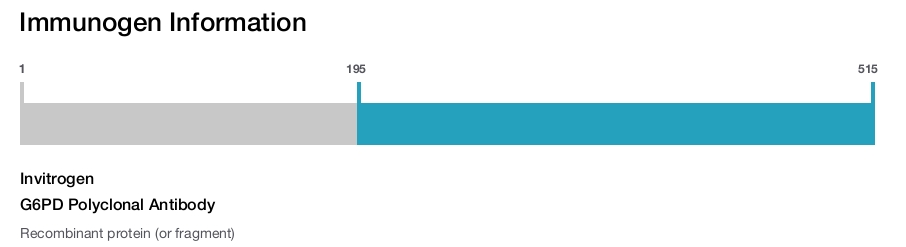 G6PD Polyclonal Antibody
