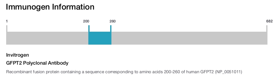 GFPT2 Polyclonal Antibody