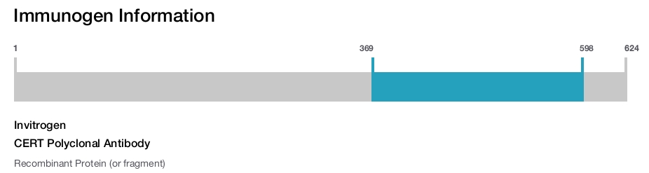 CERT Polyclonal Antibody
