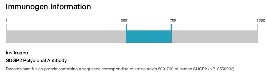 SUGP2 Polyclonal Antibody