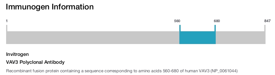 VAV3 Polyclonal Antibody