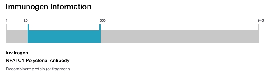 NFATC1 Polyclonal Antibody