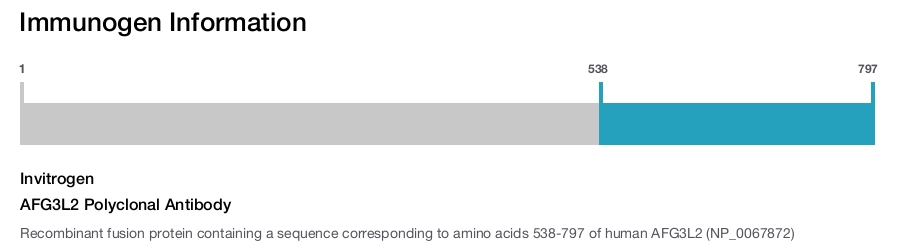 AFG3L2 Polyclonal Antibody