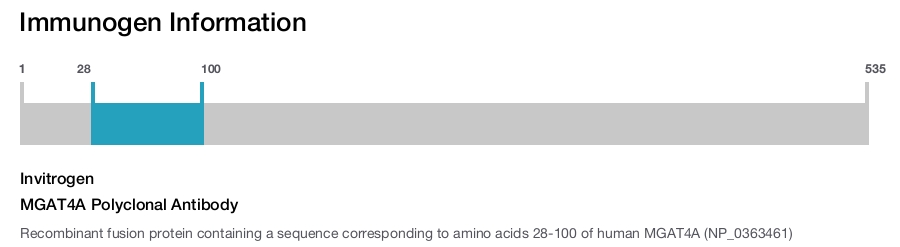 MGAT4A Polyclonal Antibody