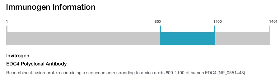 EDC4 Polyclonal Antibody