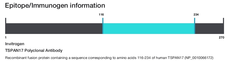 TSPAN17 Polyclonal Antibody