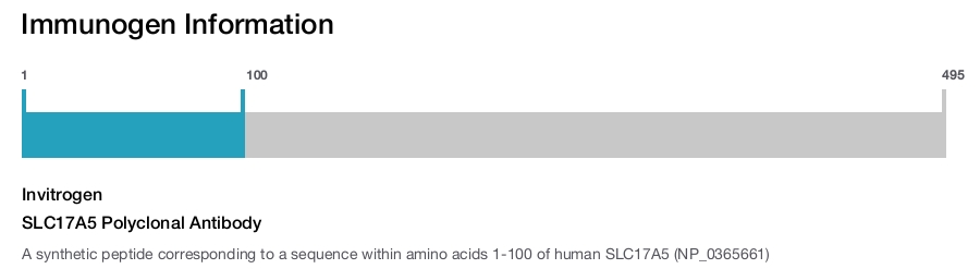 SLC17A5 Polyclonal Antibody
