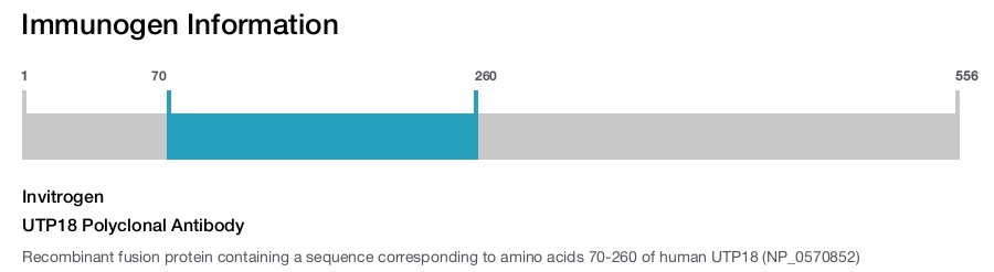 UTP18 Polyclonal Antibody