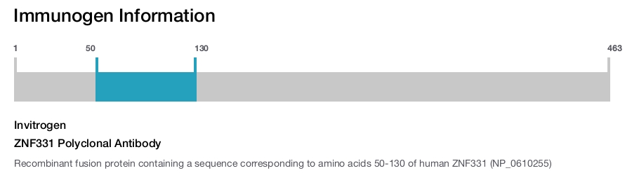 ZNF331 Polyclonal Antibody