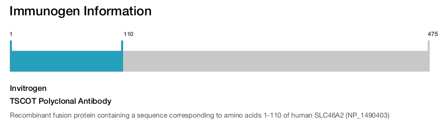 TSCOT Polyclonal Antibody