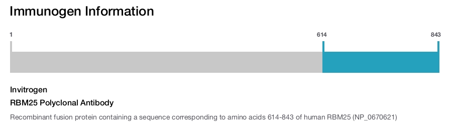 RBM25 Polyclonal Antibody