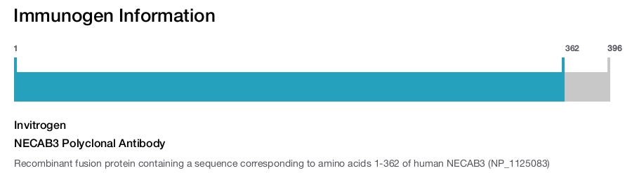 NECAB3 Polyclonal Antibody