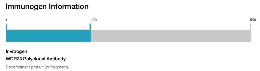 WDR23 Polyclonal Antibody