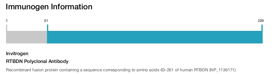 RTBDN Polyclonal Antibody