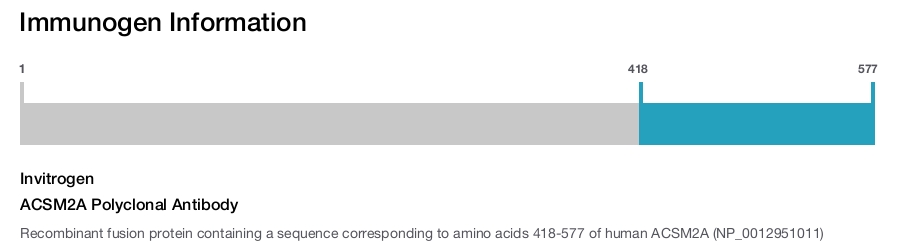 ACSM2A Polyclonal Antibody