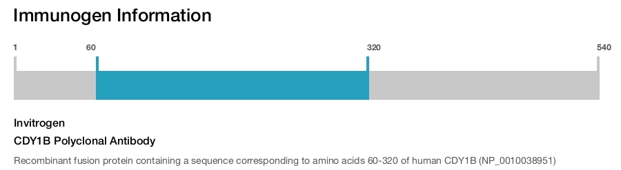 CDY1B Polyclonal Antibody