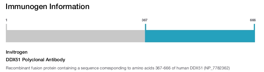 DDX51 Polyclonal Antibody