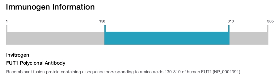 FUT1 Polyclonal Antibody