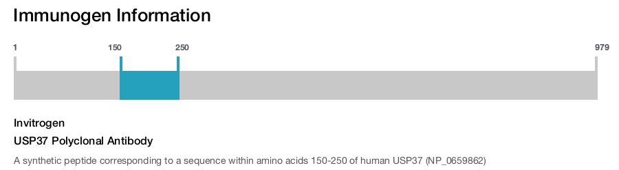 USP37 Polyclonal Antibody