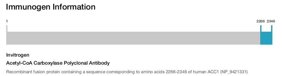 Acetyl-CoA Carboxylase Polyclonal Antibody
