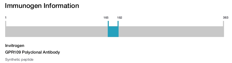 GPR109 Polyclonal Antibody